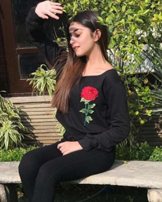 BLACK EMBROIDERY FLOWER PATCHES CROPPED SWEATSHIRT FOR womens 337 - HB INDUSTRIES - Hoodies & Sweatshirts -