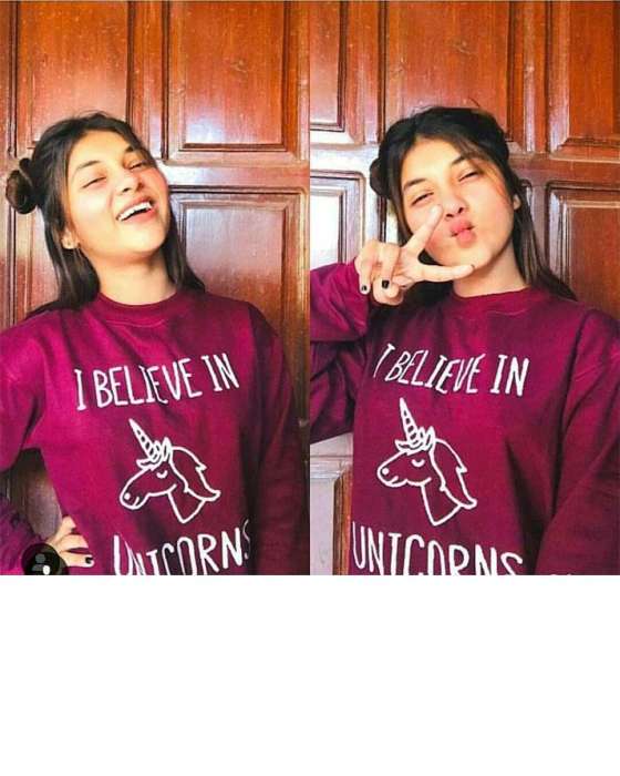 MAROON I BELIEVE IN UNICORN SWEATSHIRT FOR WOMEN - HB INDUSTRIES - Hoodies & Sweatshirts - 